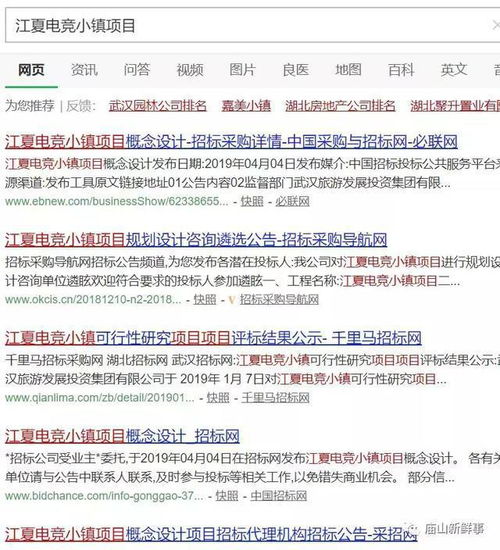 江夏将建设电竞小镇 项目概念设计项目招标代理机构中标公示